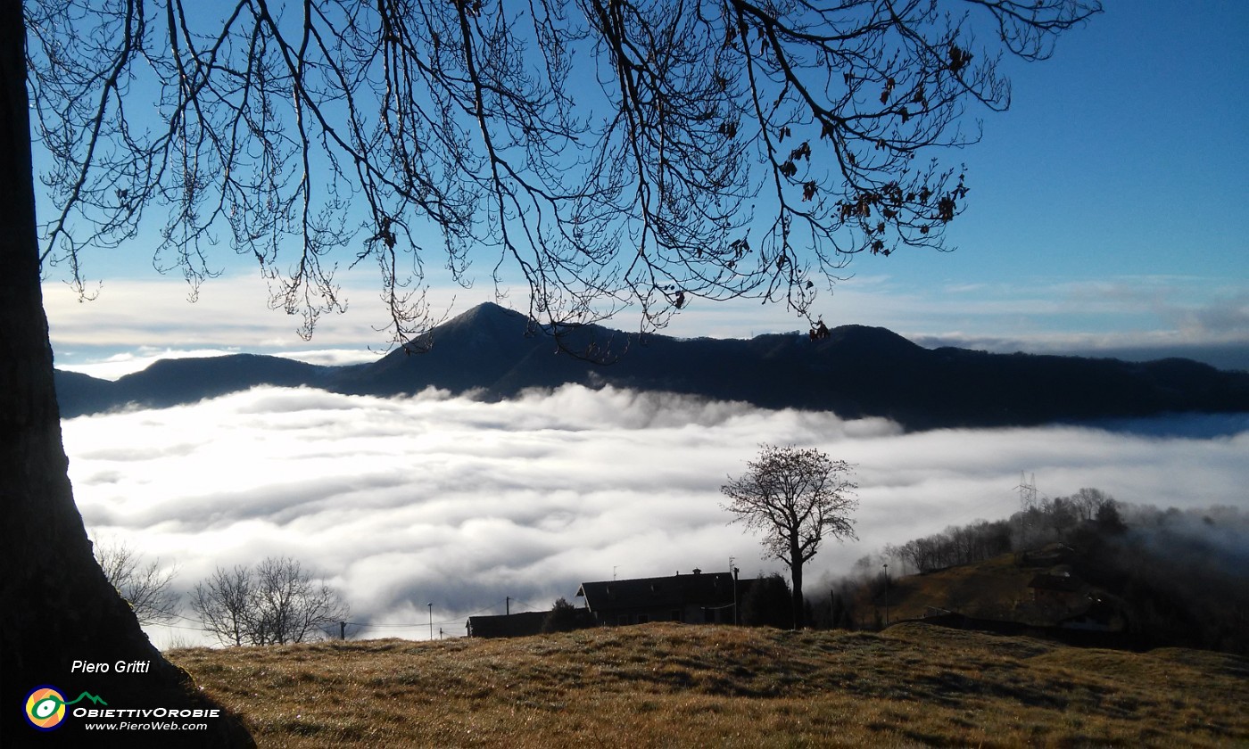 11 Canto Alto visto da Zergnone di Zogno.jpg